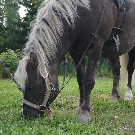 Wanha Pirtti Orivesi