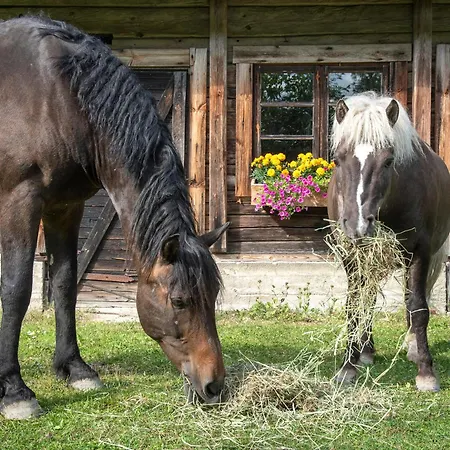 Wanha Pirtti 아파트 *